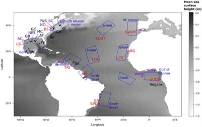 Coupling large-spatial scale larval dispersal modelling with barcoding to refine the amphi-Atlantic connectivity hypothesis in deep-sea seep mussels